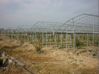 源農溫室 專業溫室大棚銷售、安裝與維修服務