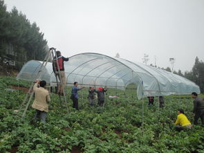 云南省農(nóng)業(yè)廳官方網(wǎng)站——云南農(nóng)業(yè)信息網(wǎng) 您的農(nóng)業(yè)信息咨詢首選平臺